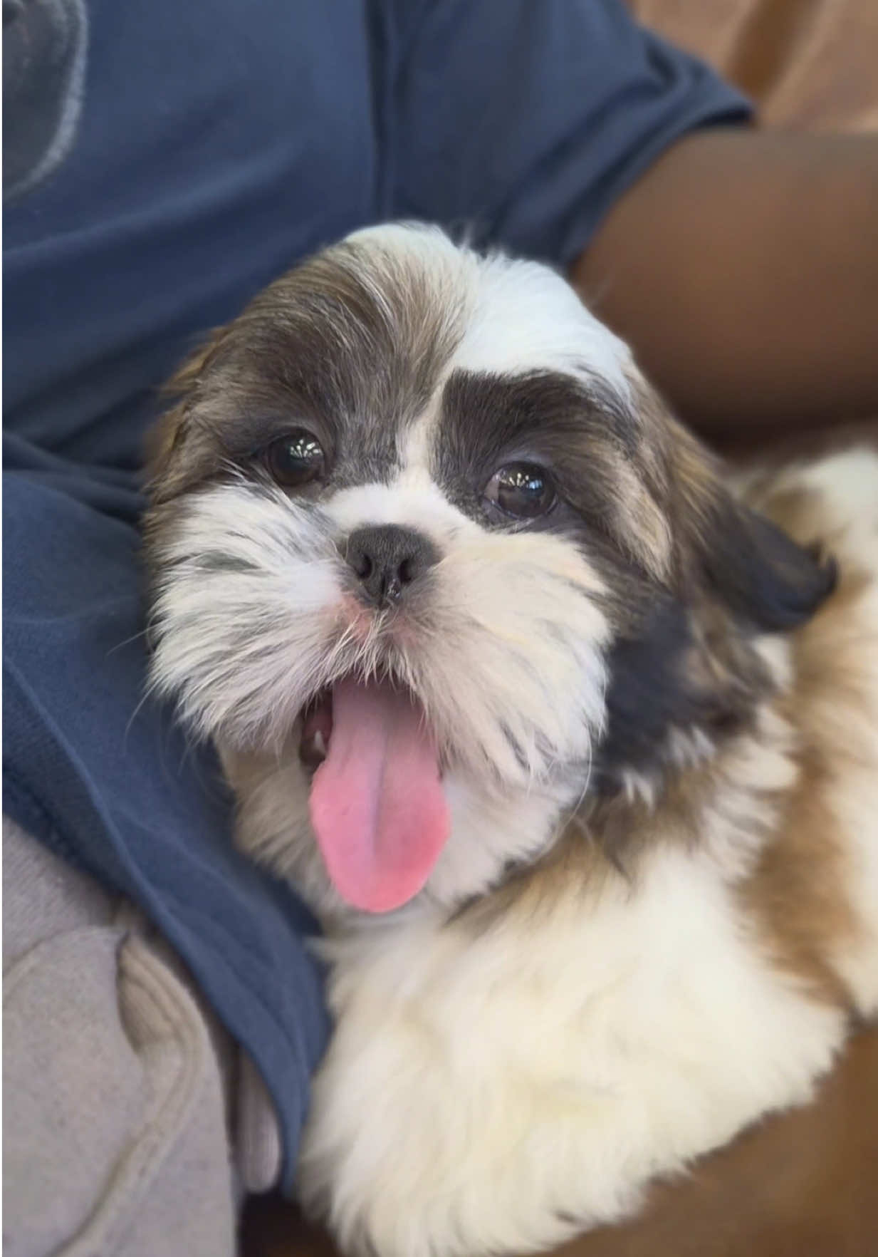 @Petland Oklahoma City