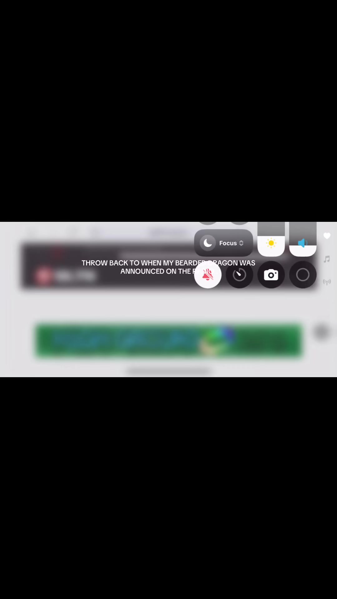 @🫘Sasbean🫘