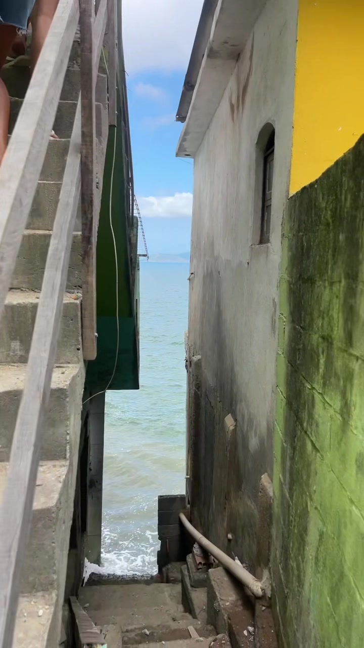 @bodão