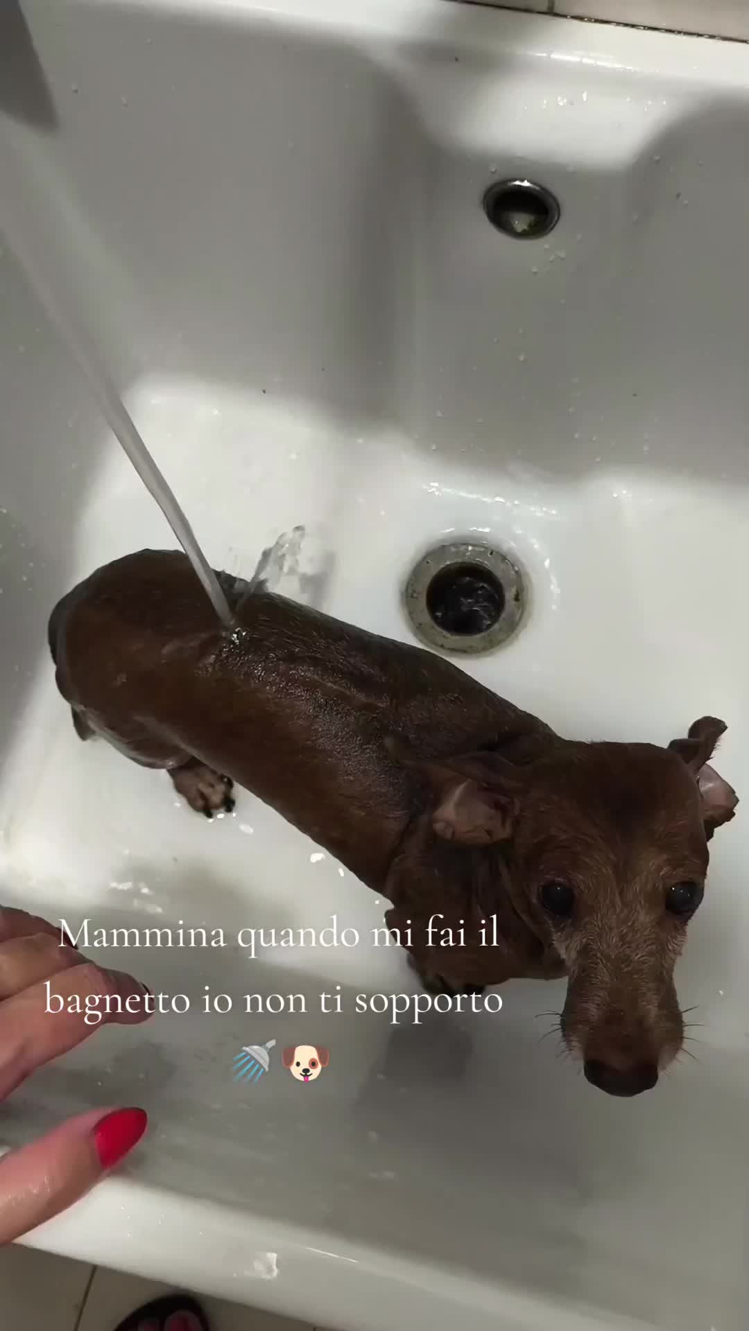 @Marta e Jj