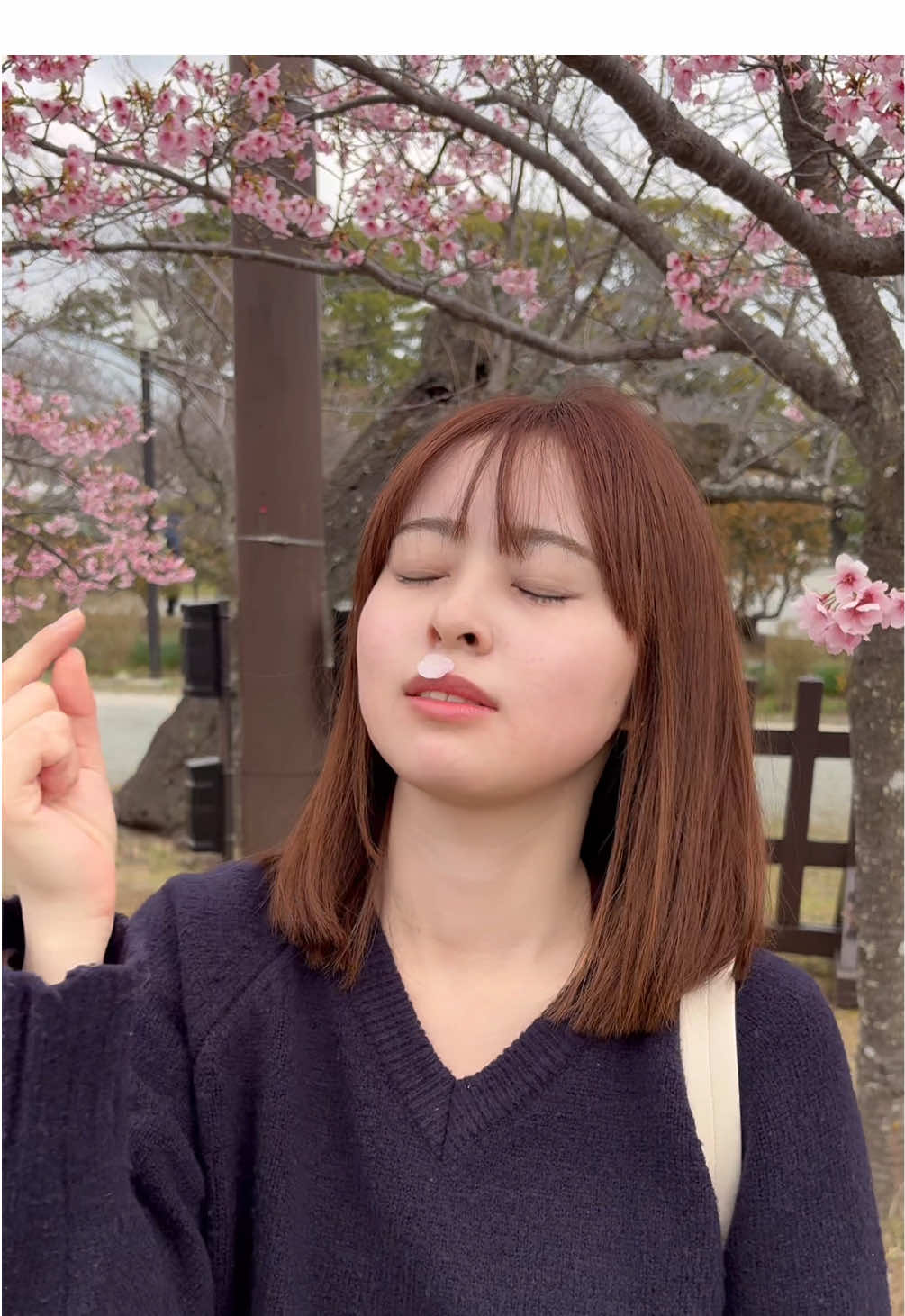 @村山千夏