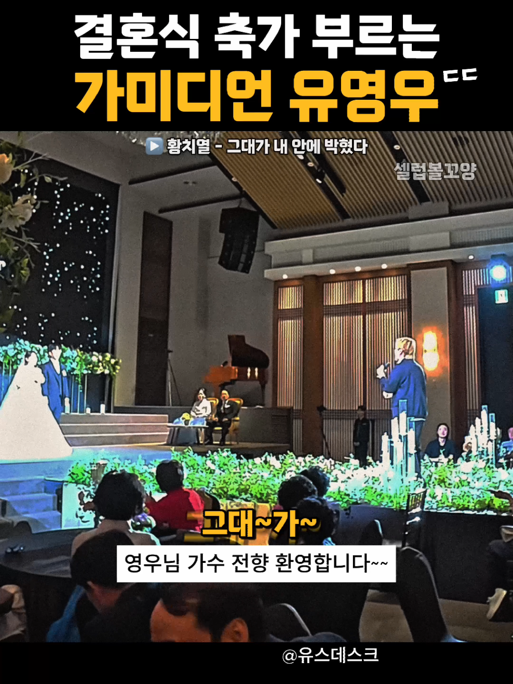 @셀럽볼꼬양