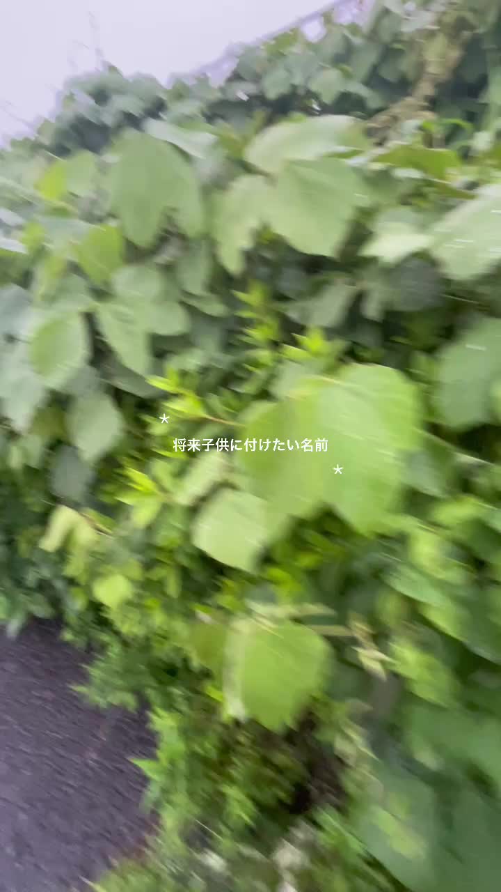@入力中....