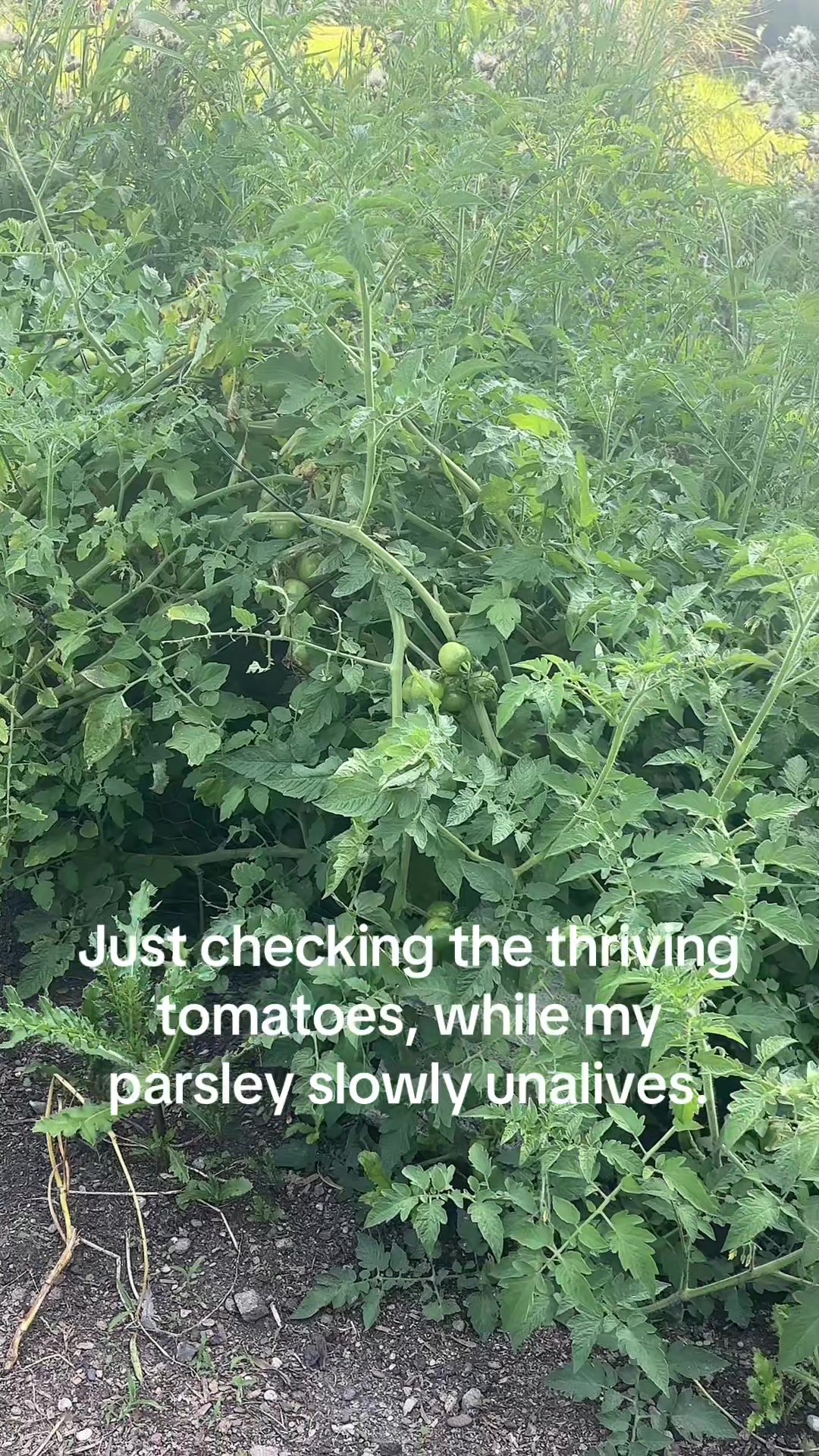 @Chels🇨🇦