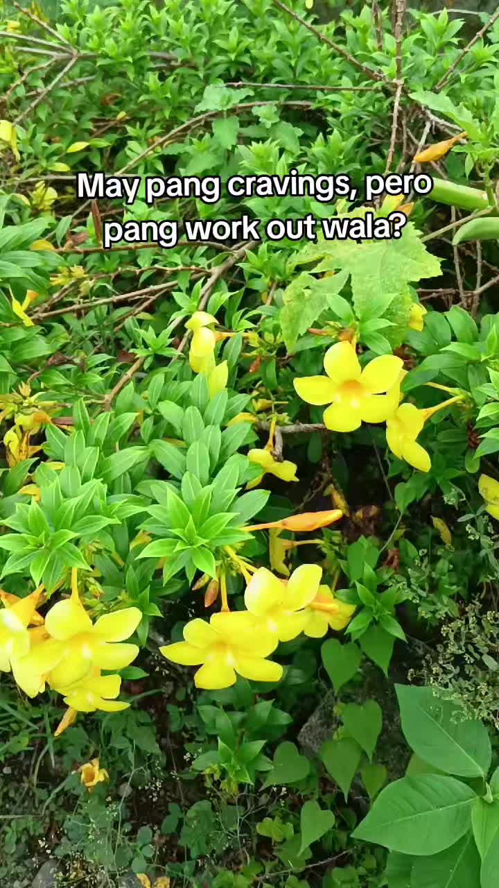 @Makoy na Koykoy 2