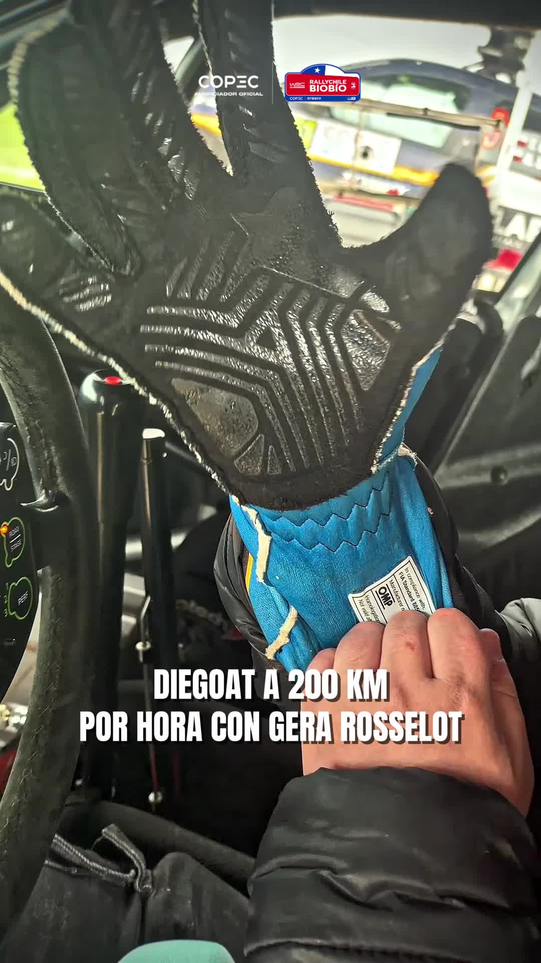 @dltsports