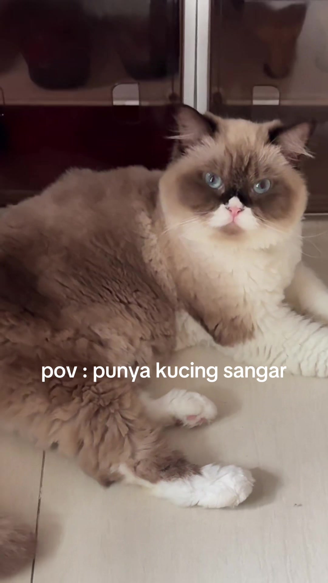 @Jando Ubil