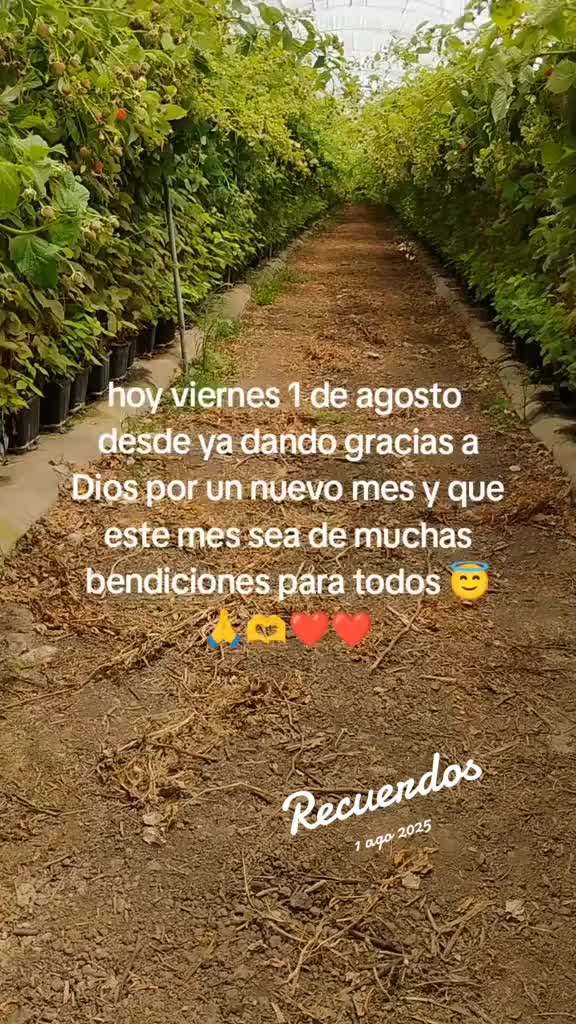 @Vzquezz S&aelig;bino😌😍