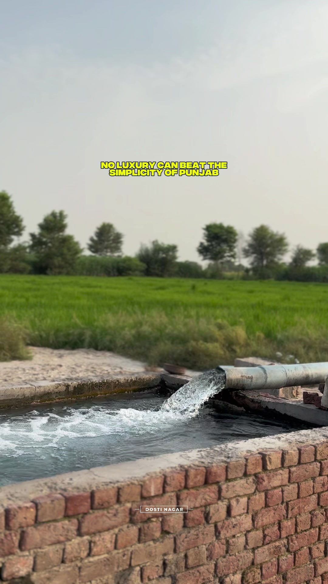 @دوستی نگر