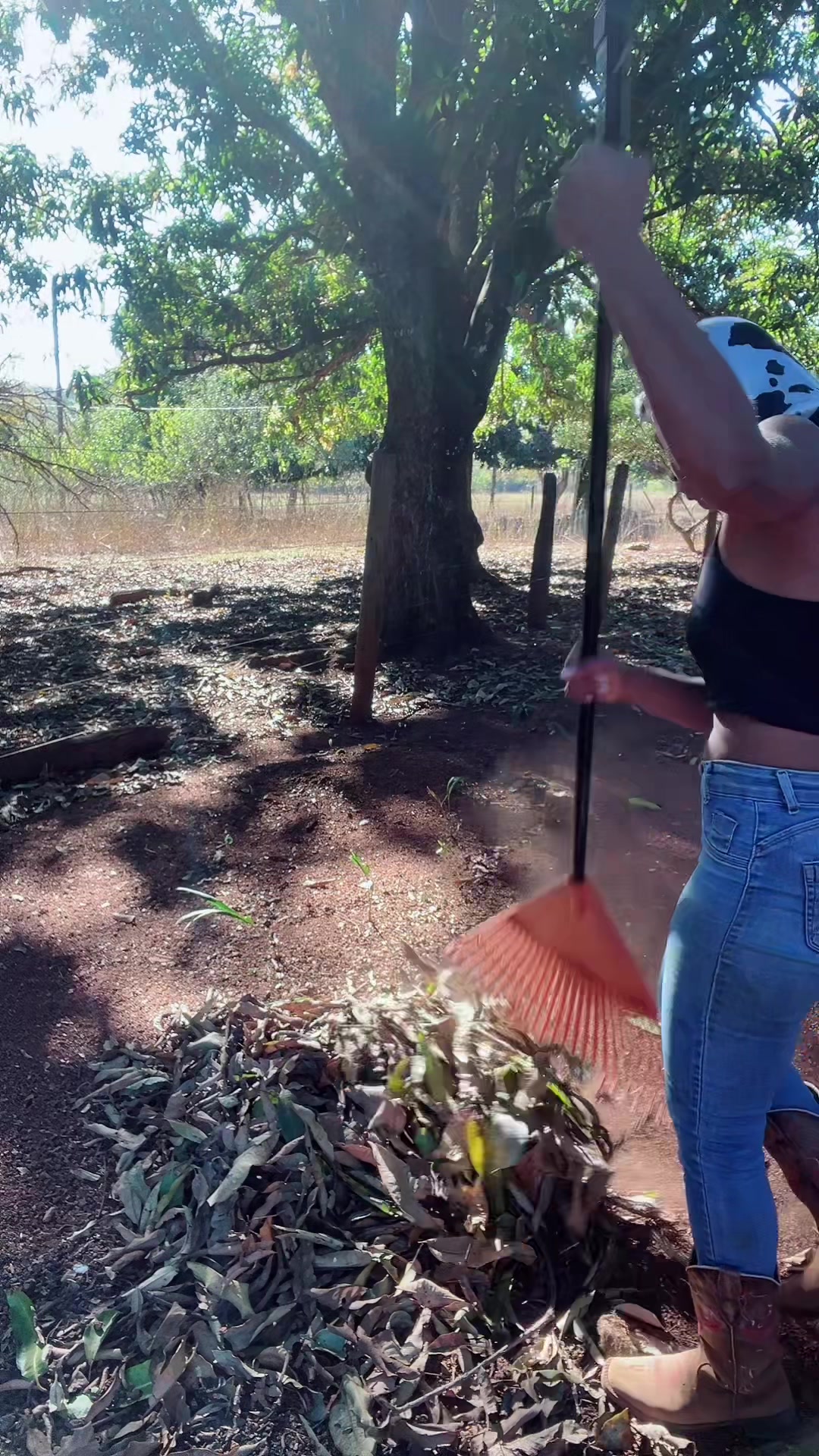 @Mara_Boidadeira