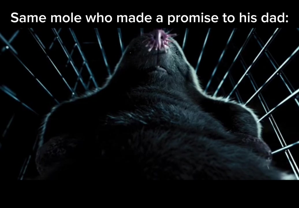 @💤𝓡𝓲𝓬𝓴💤