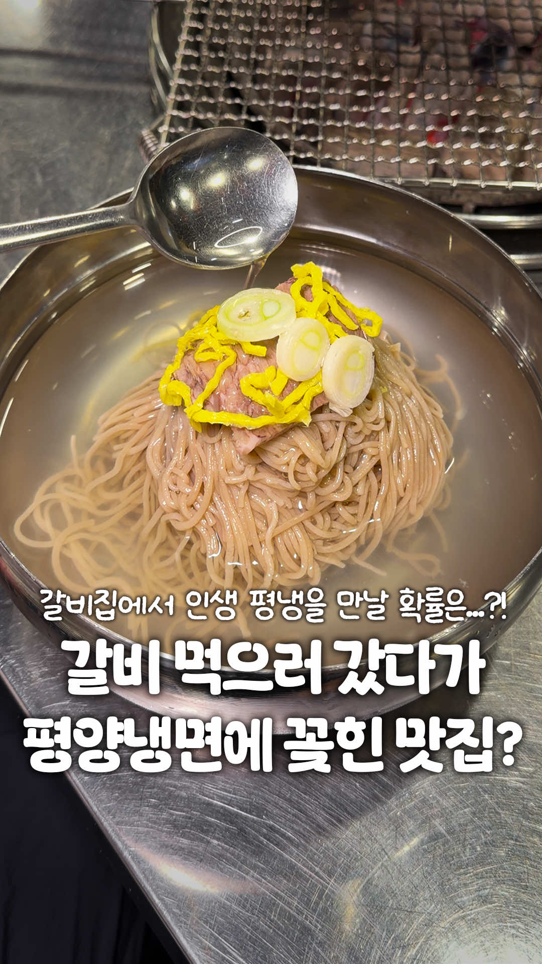 @일산갈고양