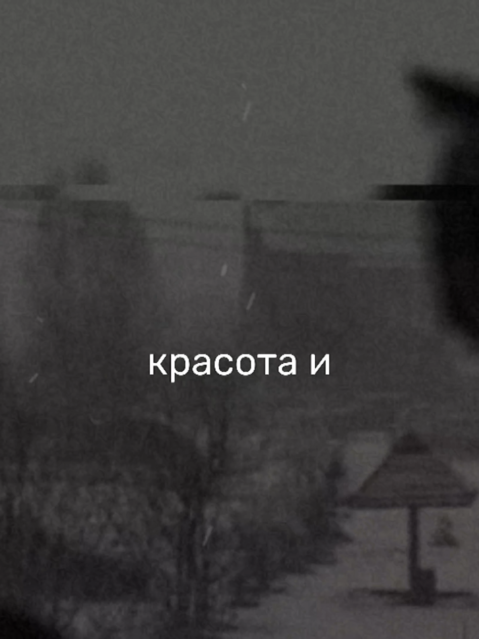 @я твоё зеркало