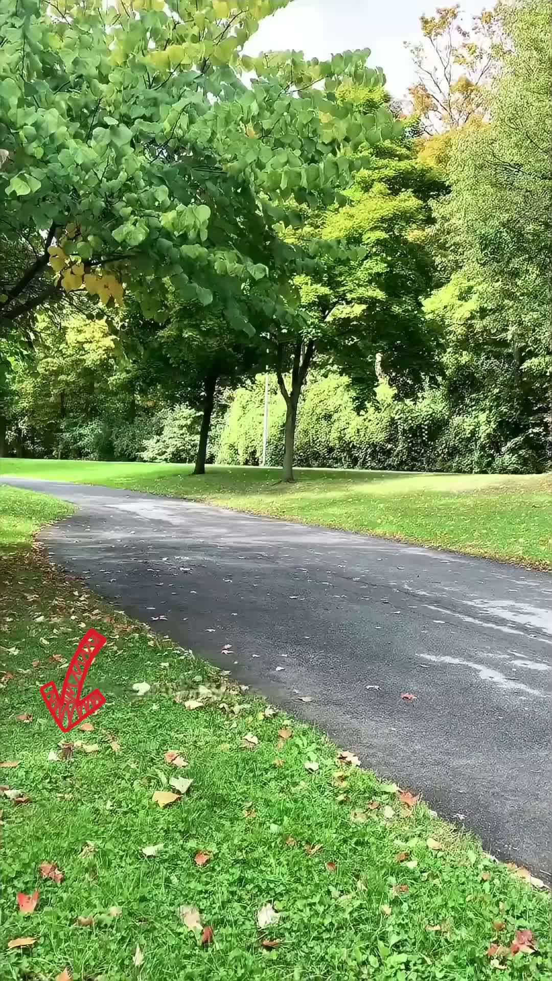 @palyajzmo45