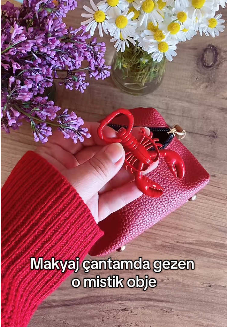 @Daily with Derya 🌿🌵☘️