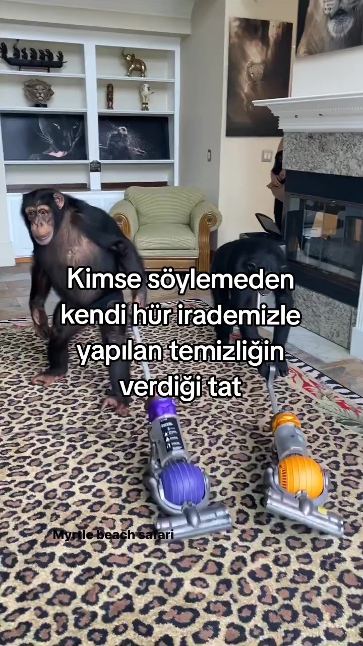 @rolland