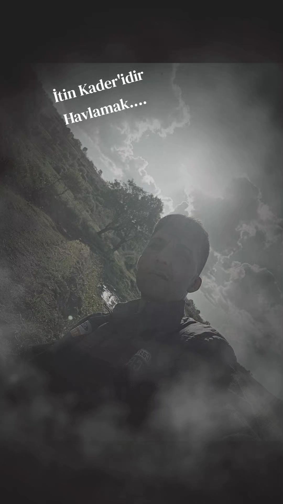 @🐝ÖZ BEYDİLLİ - ARICILIK🍯