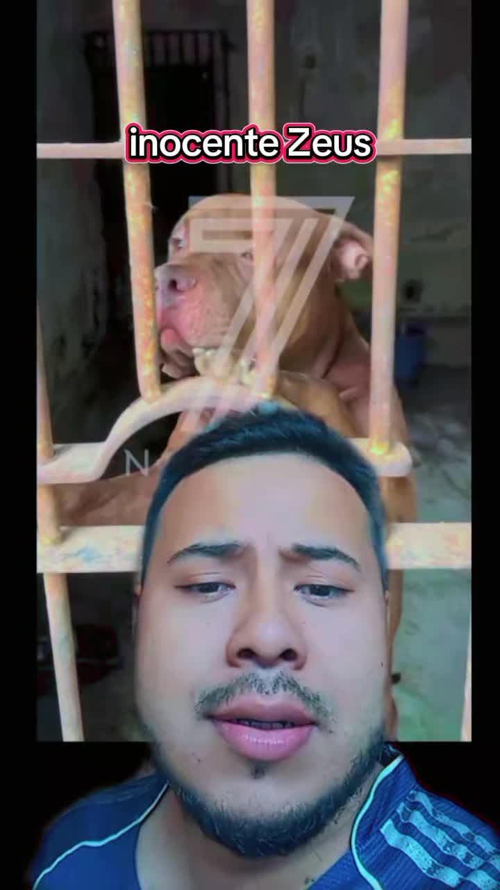 @mauroHD