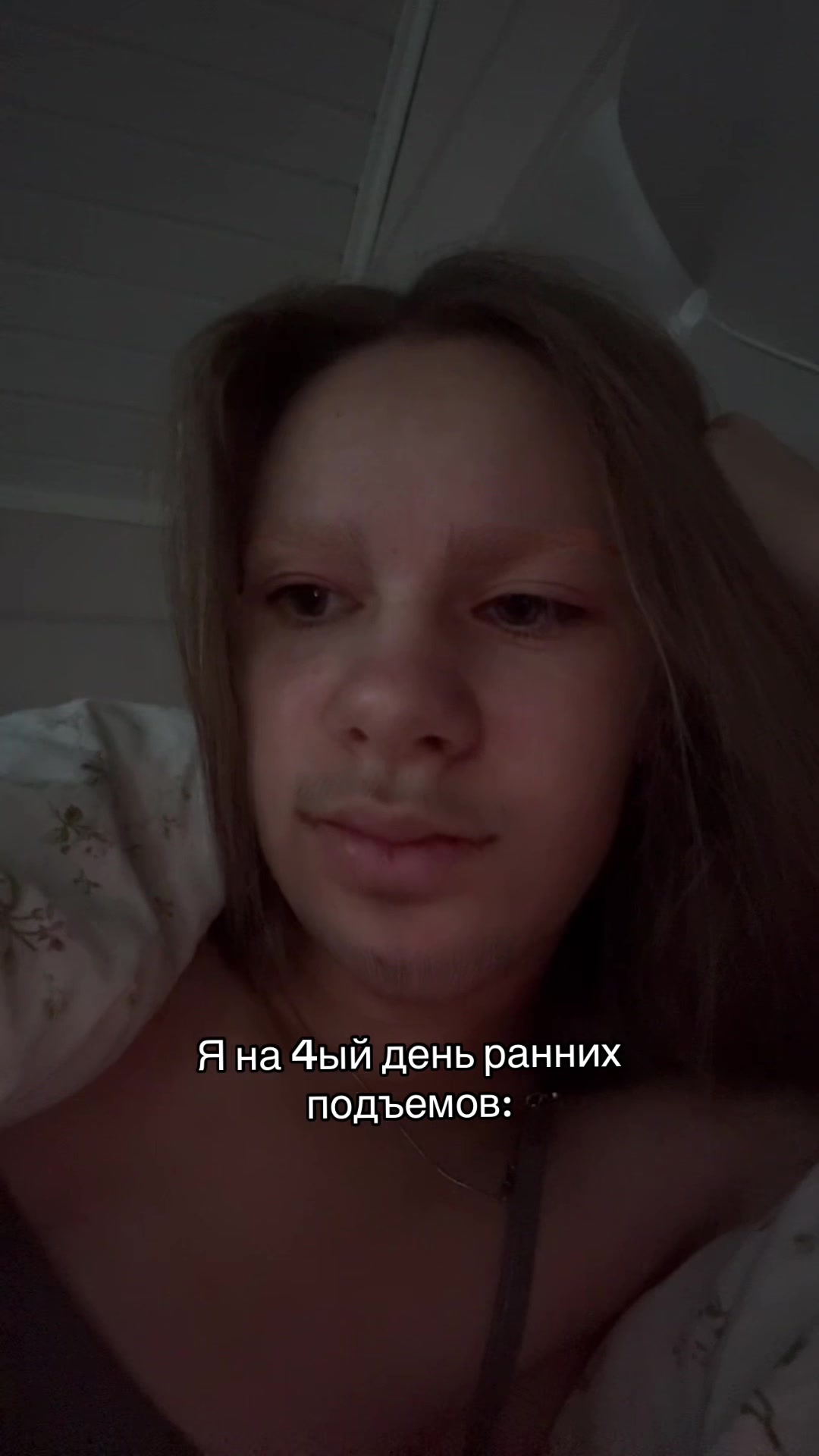 @belka.dream