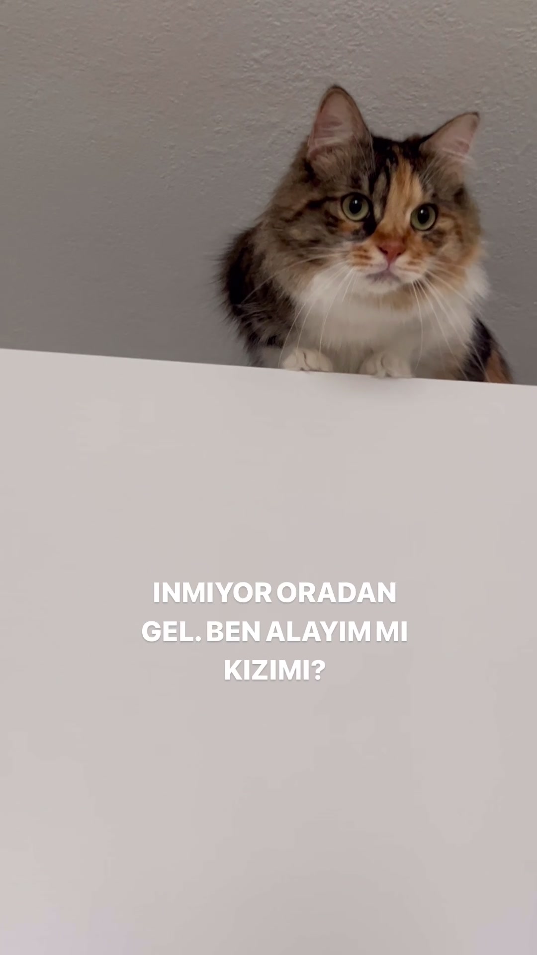 @konusankediminnos