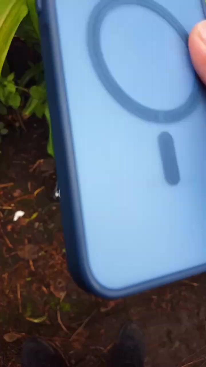 @15fuquiro16