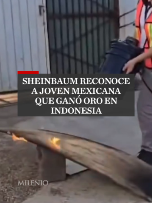 @MILENIO