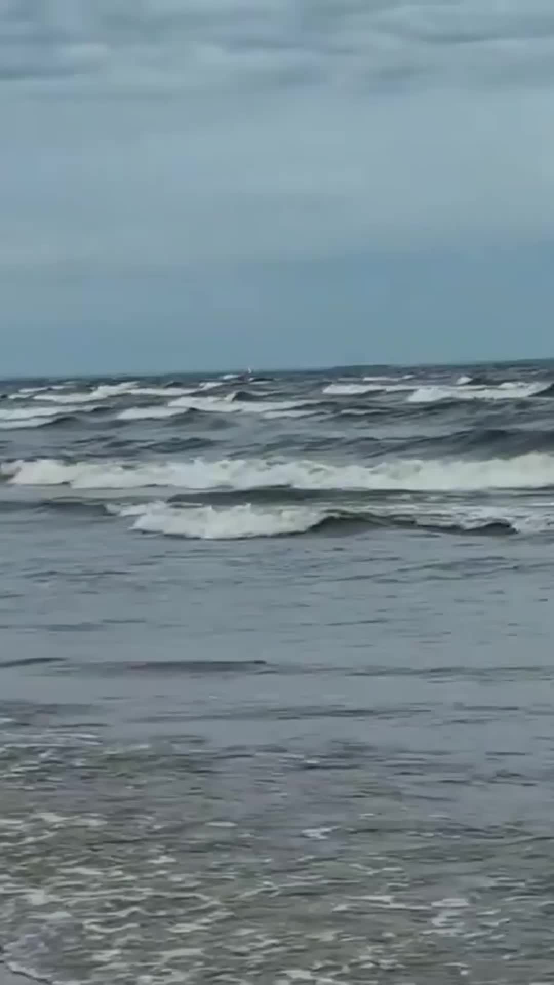 @hefxtom24433464