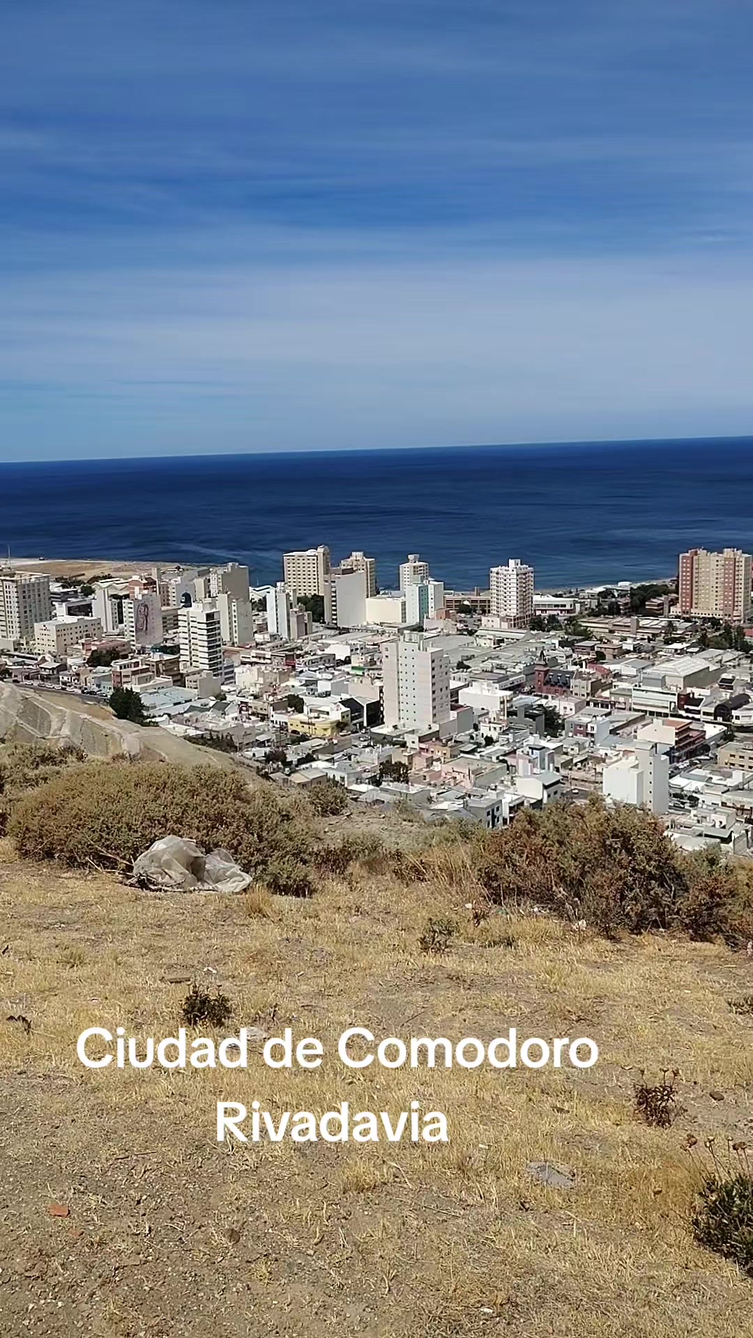 @miguelvivas739