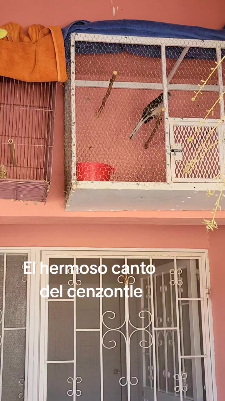 @Oscar Guevara