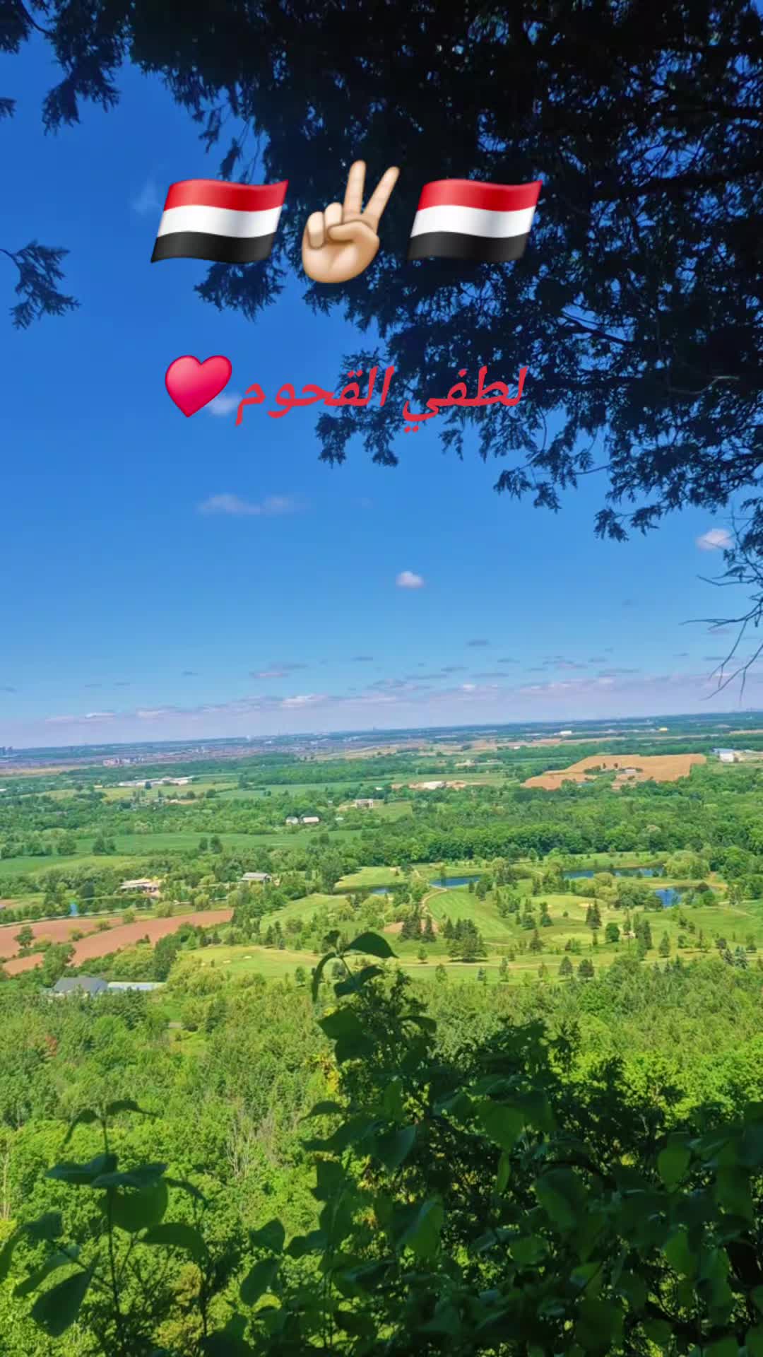 @مايا 🇾🇪🇨🇦