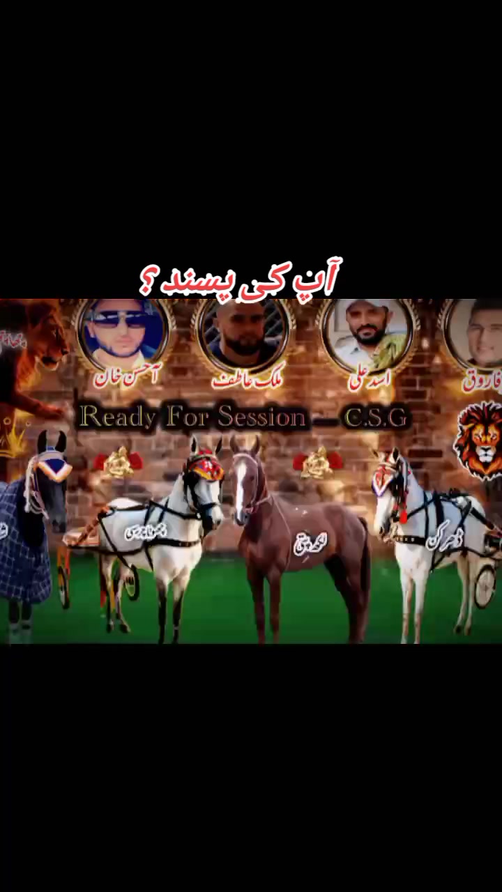 @🐴 گھوڑا شوق 🐴