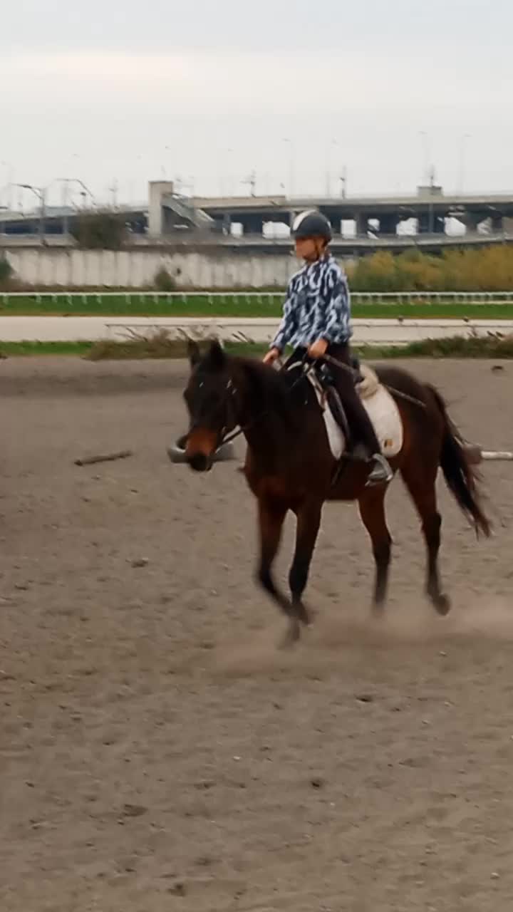 @меги🐎
