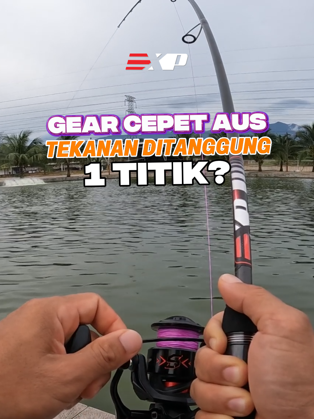 @Si Pemburu Gabus