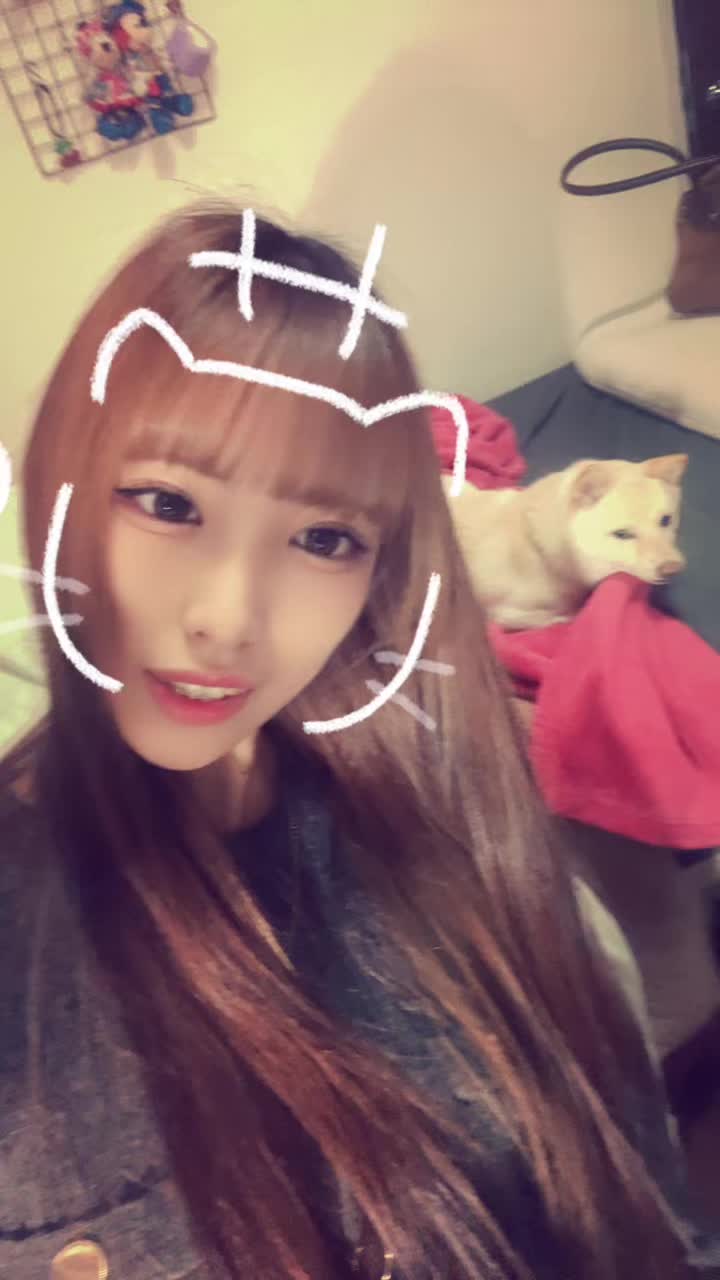 @おもちの飼い主
