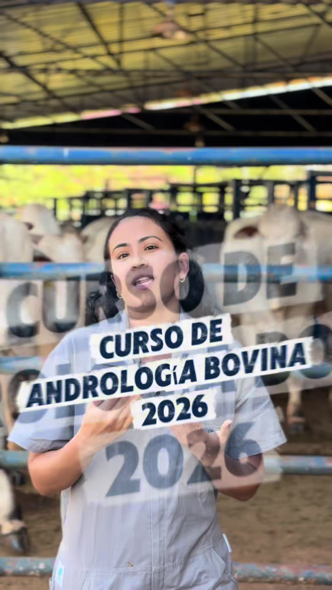 @Global Caribe