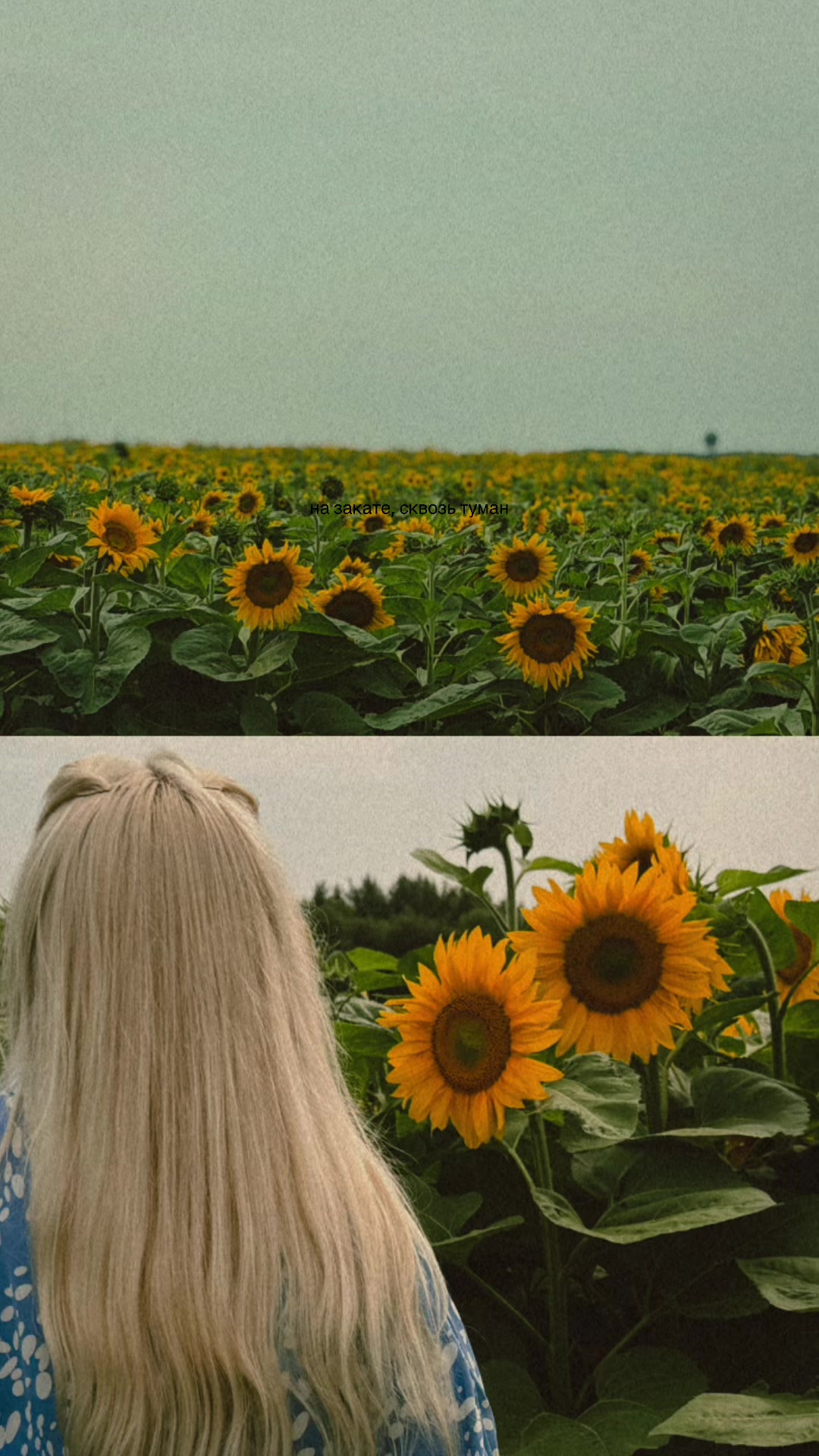 @Вероничка