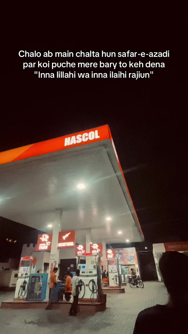 @🕊️