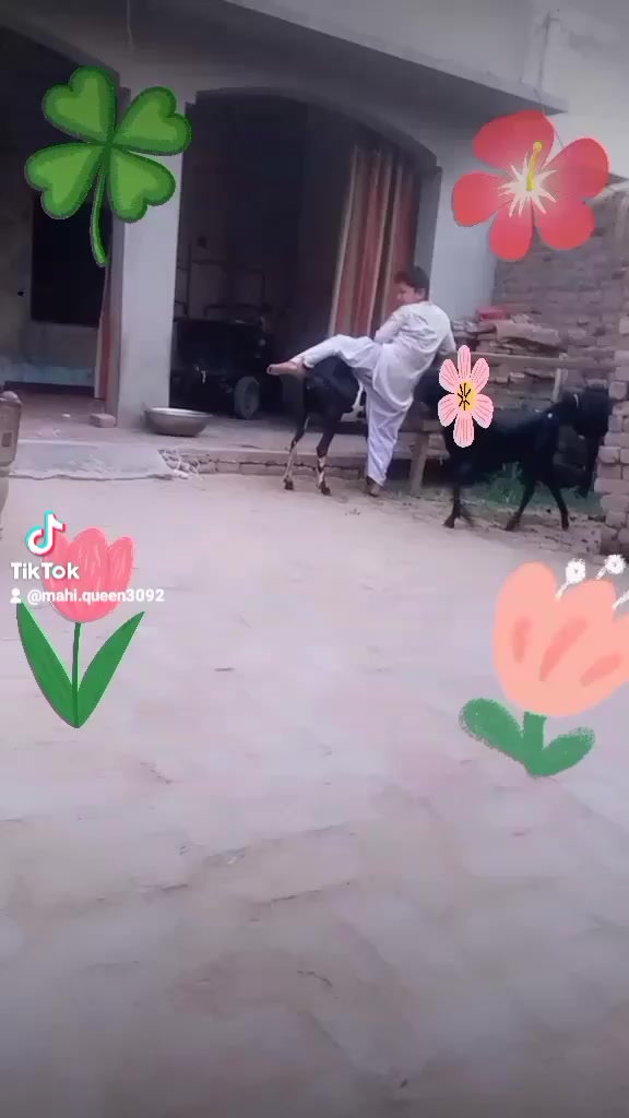 @Yasmeen hujra 👑🥰