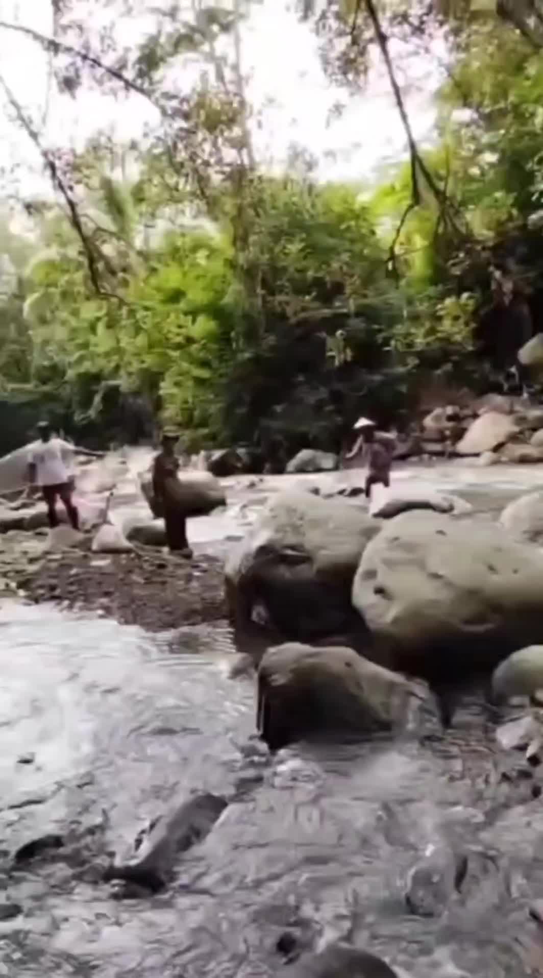 @PORTAL BABINSA