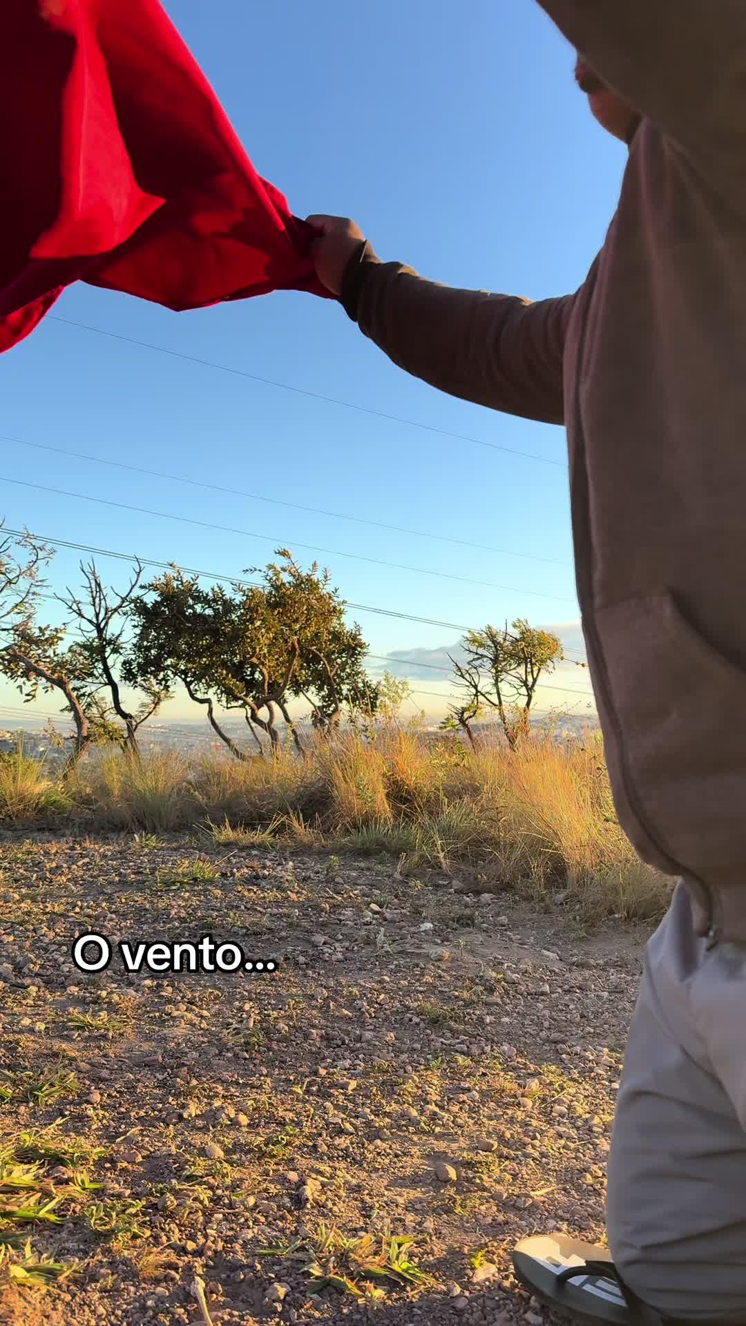 @Erivaldo Dos Santos