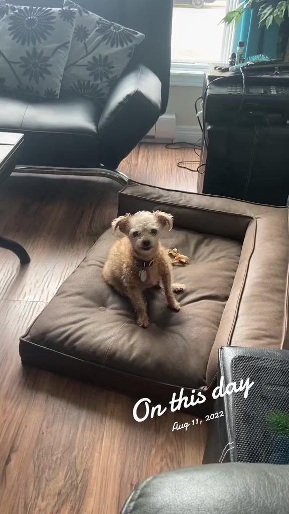 @Magsmya 🇨🇦❤️