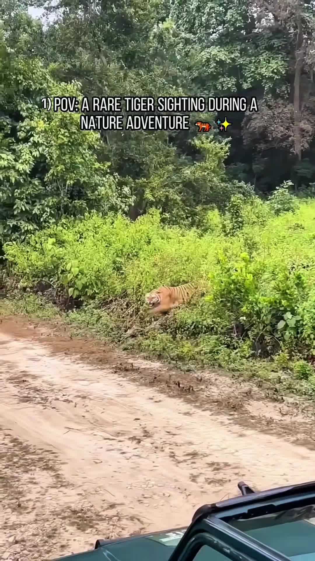 @WildwonderzZzz