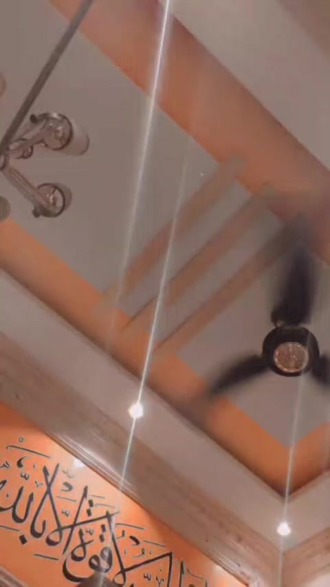 @inzamam jani