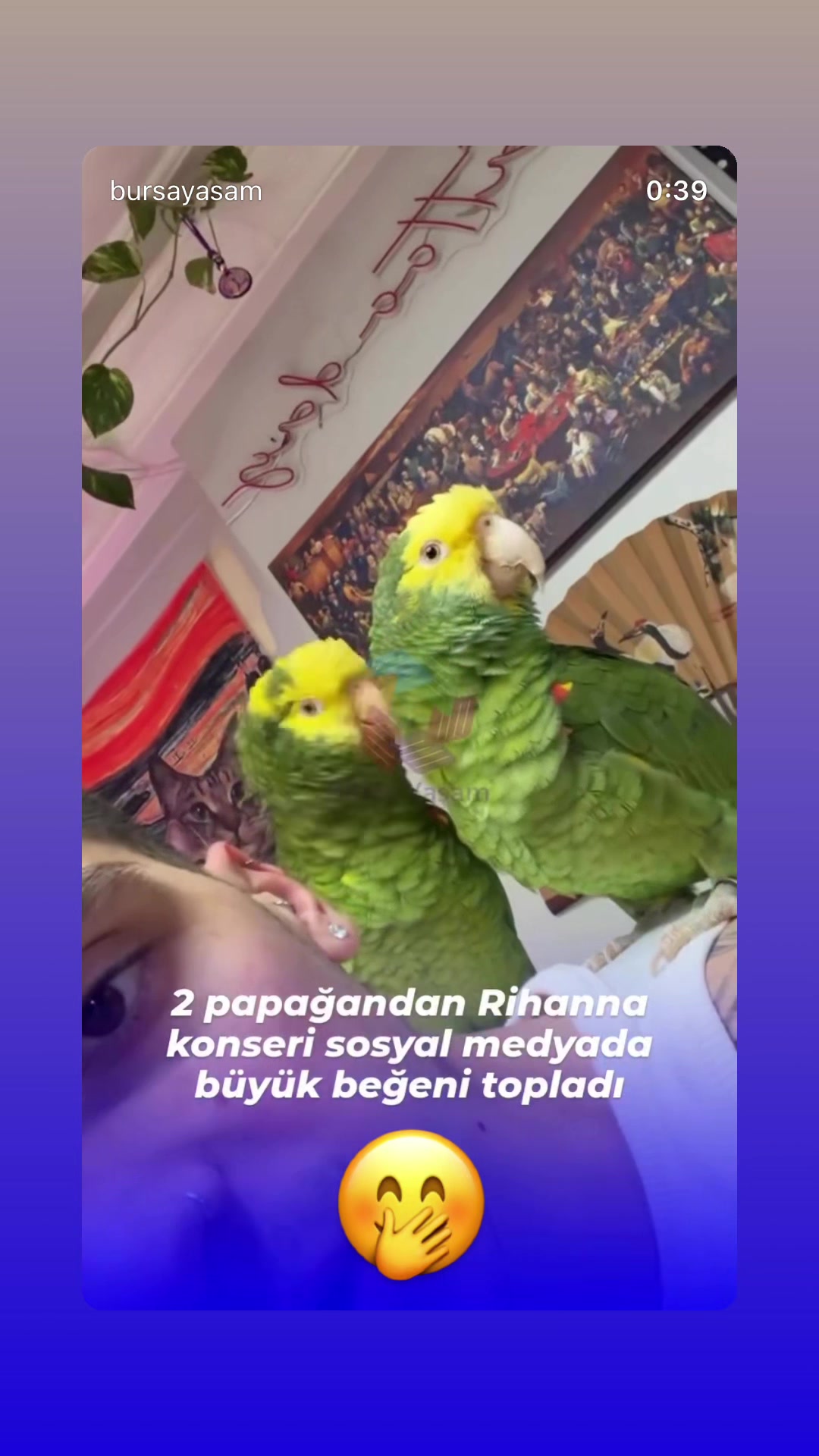 @Şapkalı Kadın