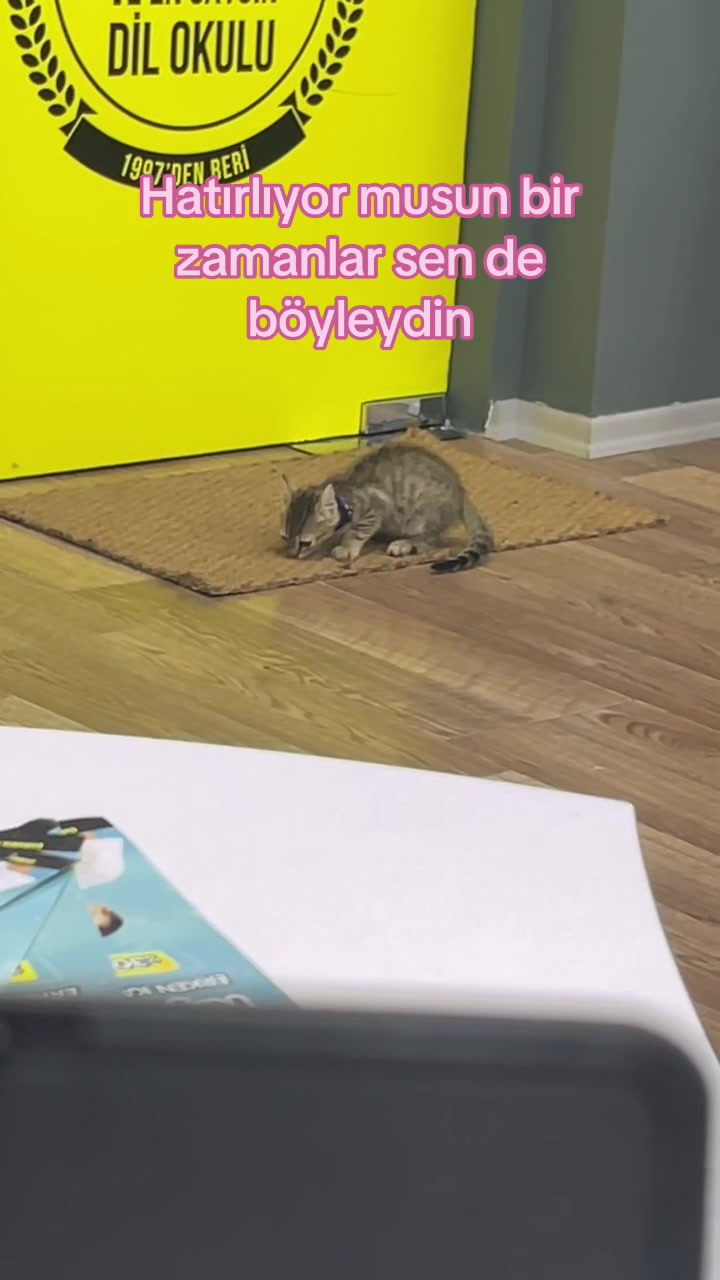 @Ecrin