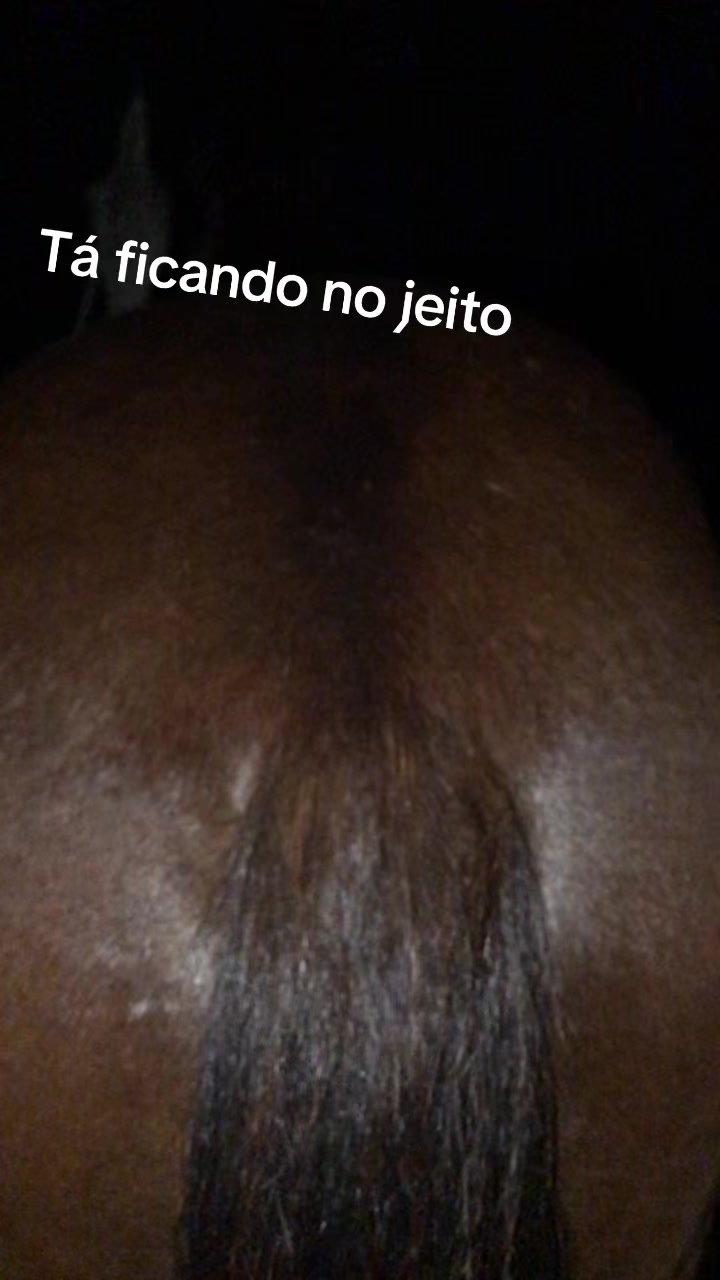 @Alerrandro Gomes