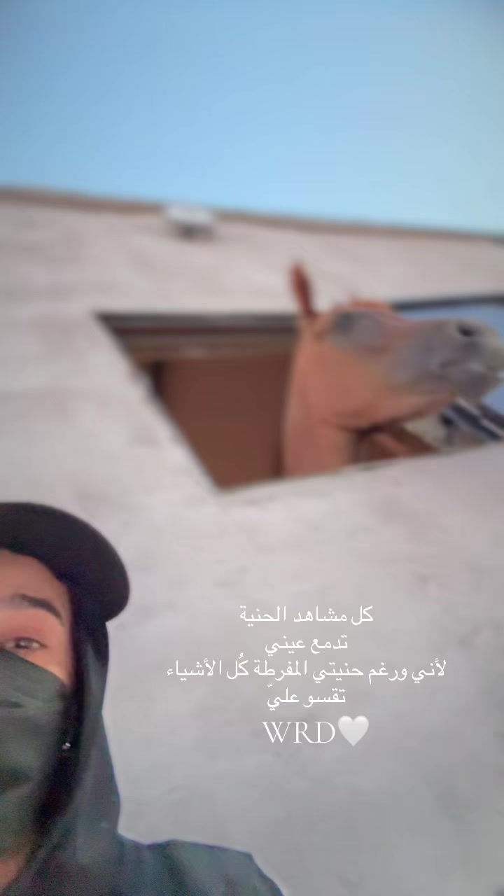 @ReRe 𓃗