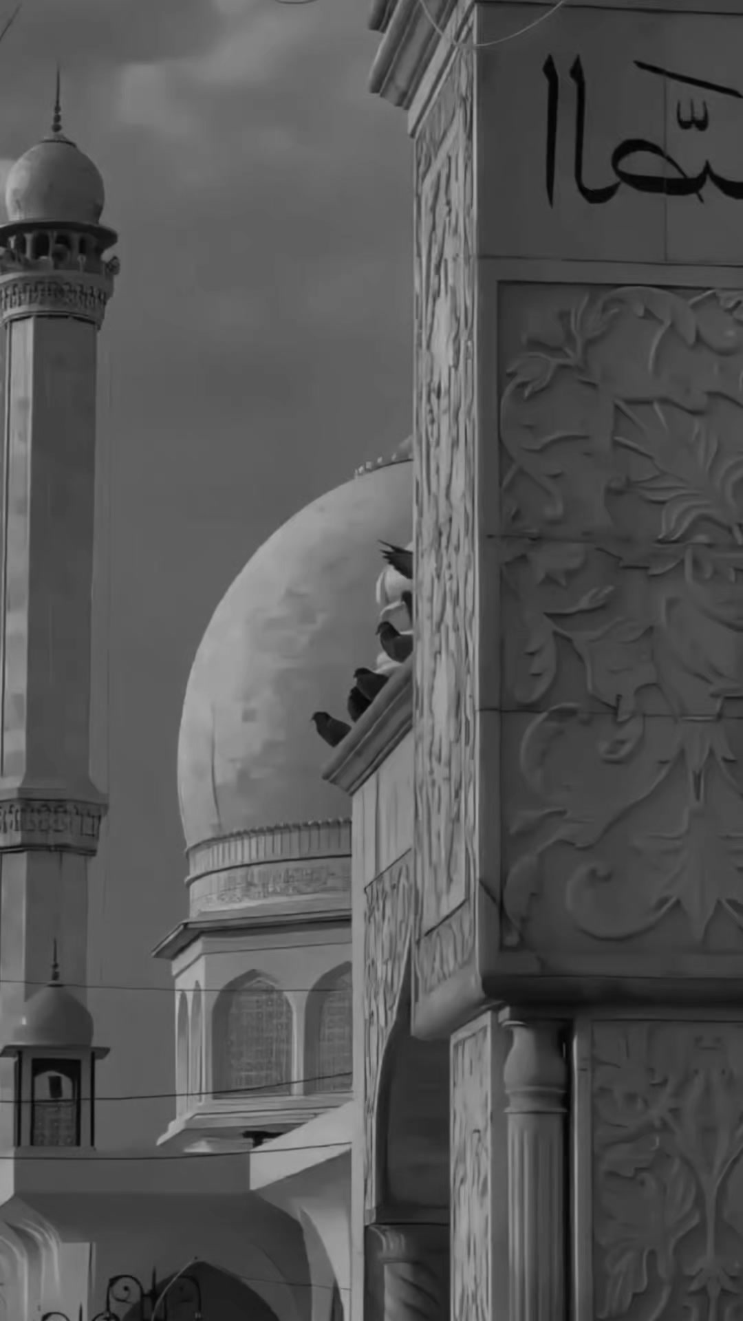 @♛أمـيـࢪة 𝐀𝐦𝐢𝐫𝐚♛
