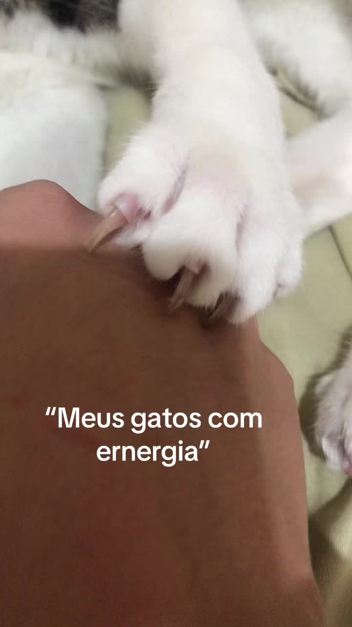 @_affeamari_