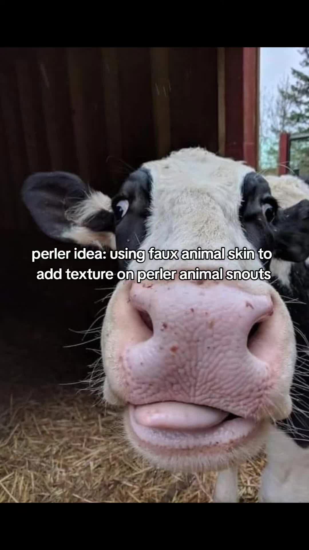 @AdamsPerlerCreations